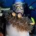 anemonefish_pink_is_kb_v_0085_png0899.jpg